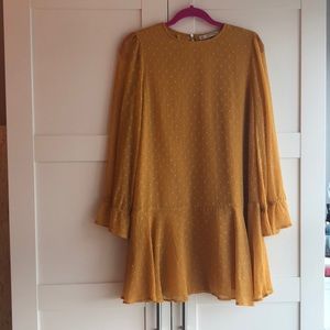 Zara Mustard Drop Waist Dress